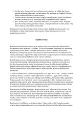 Romėnų teisė: referatas 2 puslapis