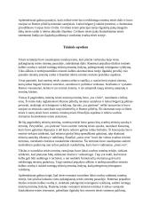 Romėnų teisė: referatas 4 puslapis