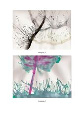 Dailės pamokos planas: medžiai 9 puslapis