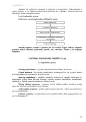 Pardavimų planavimas ir organizavimas 13 puslapis