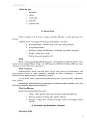 Pardavimų planavimas ir organizavimas 6 puslapis