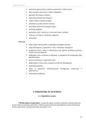 Pardavimų planavimas ir organizavimas 9 puslapis