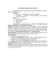 Dailės pamokos planas: skulptūra 11 puslapis