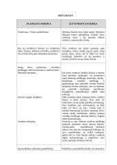 Dailės pamokos planas: skulptūra 19 puslapis