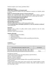 Dailės pamokos planas: skulptūra 3 puslapis