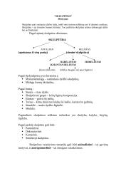 Dailės pamokos planas: skulptūra 4 puslapis