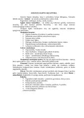 Dailės pamokos planas: skulptūra 7 puslapis