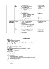 Dailės pamokų planai 2 puslapis