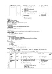 Dailės pamokų planai 11 puslapis