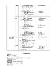 Dailės pamokų planai 12 puslapis