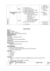 Dailės pamokų planai 14 puslapis