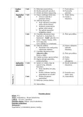 Dailės pamokų planai 15 puslapis