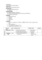 Dailės pamokų planai 16 puslapis