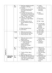 Dailės pamokų planai 17 puslapis