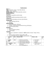 Dailės pamokų planai 4 puslapis