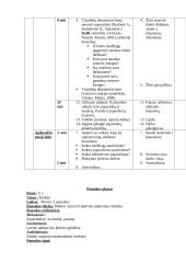 Dailės pamokų planai 5 puslapis