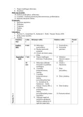 Dailės pamokų planai 6 puslapis