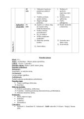 Dailės pamokų planai 7 puslapis