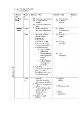 Dailės pamokų planai 8 puslapis