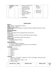 Dailės pamokų planai 9 puslapis