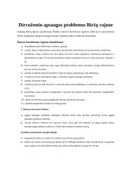 Dirvotyros baigiamasis darbas 11 puslapis