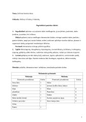 Darbų pamokos planas: erdvinis konstravimas