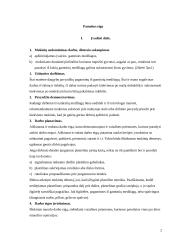 Darbų pamokos planas: erdvinis konstravimas 2 puslapis