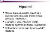 Praktikos darbas ,,Osmoso reiškinio tyrimas’’ 2 puslapis