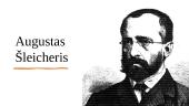 Augustas Šleicheris - biografija