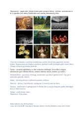 Graikų mito ,,Persefonės pagrobimas” analizė 3 puslapis