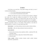 Verslo idėjos UAB ,,x‘‘ preliminarus finansinis įvertinimas 2 puslapis