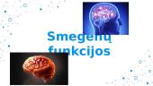 Smegenų funkcijos