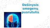 Smegenų funkcijos 9 puslapis