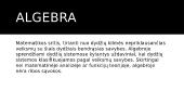 Matematikos mokslo ir jo šakų raida Lietuvoje  14 puslapis