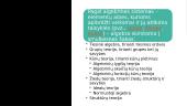 Matematikos mokslo ir jo šakų raida Lietuvoje  15 puslapis