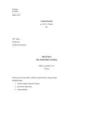 Pagrindiniai dokumentų pavyzdžiai 10 puslapis