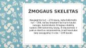 Griaučiai - skaidrės 7 puslapis