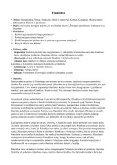 Hamleto analizė. Veiksmo raida, siužetas, temos