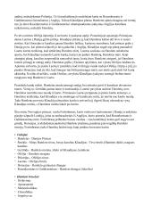 Hamleto analizė. Veiksmo raida, siužetas, temos 2 puslapis