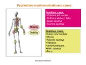 Skausmas ir lėtinės traumos vaikų ir paauglių sporte 11 puslapis