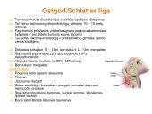 Skausmas ir lėtinės traumos vaikų ir paauglių sporte 12 puslapis