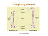 Skausmas ir lėtinės traumos vaikų ir paauglių sporte 7 puslapis
