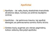 Skausmas ir lėtinės traumos vaikų ir paauglių sporte 9 puslapis