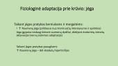 Mokinių fizinių ypatybių ugdymas, atsižvelgiant į biologinę brandą 13 puslapis