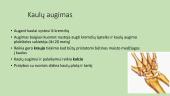 Mokinių fizinių ypatybių ugdymas, atsižvelgiant į biologinę brandą 4 puslapis