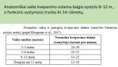 Mokinių fizinių ypatybių ugdymas, atsižvelgiant į biologinę brandą 9 puslapis