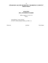 Organizacijų dokumentų pavyzdžiai 12 puslapis