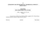 Organizacijų dokumentų pavyzdžiai 14 puslapis