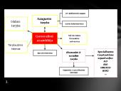 Ar įmanoma užtikrinti taiką visame pasaulyje? 3 puslapis