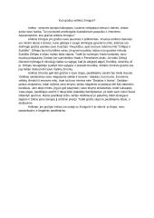 Kuo gražus antikos žmogus? - rašinys